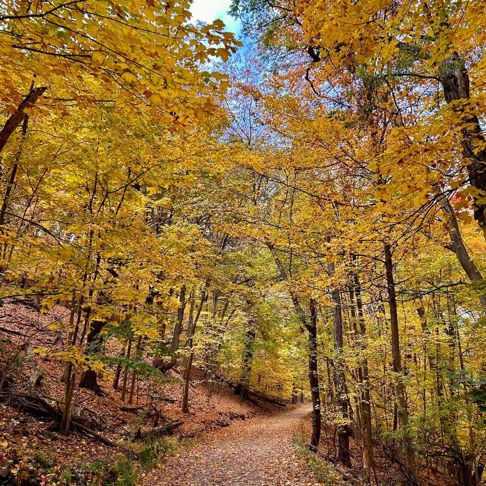 Meet your Posher, Evelina